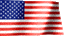 Flag Icon